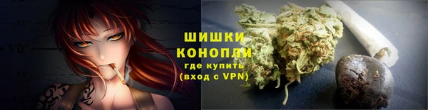 ECSTASY Белокуриха