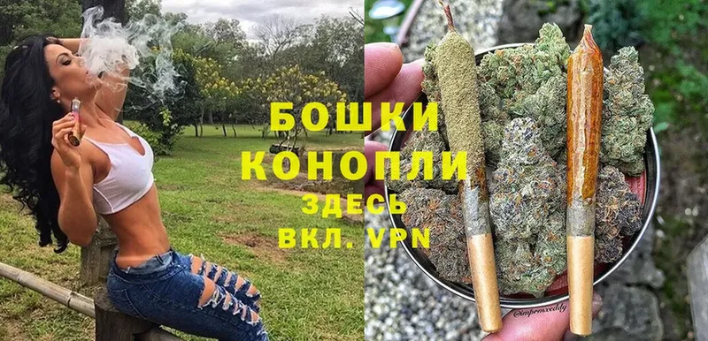 продажа наркотиков  Западная Двина  Шишки марихуана OG Kush 